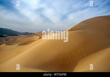 Paesaggio della centrale di deserto del Sahara, Niger, 2004. Foto Stock