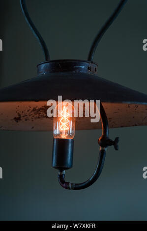 Vintage nero luce pendente Foto Stock