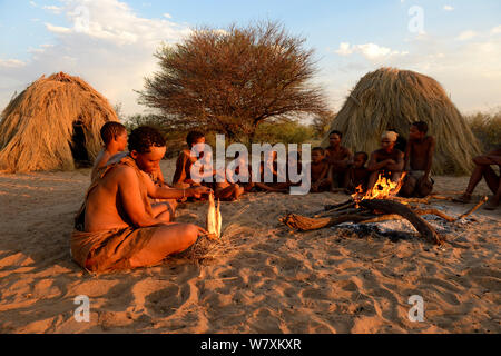 Naro Boscimani San famiglia seduti intorno al fuoco, donna peeling la radice di una pianta kombrua che è nutriente e dissetante. Kalahari Ghanzi regione, Botswana, Africa. La stagione secca, ottobre 2014. Foto Stock