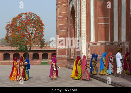 Taj Mahal, donne locali di entrare, Agra, Uttar Pradesh, India, aprile 2010. Foto Stock