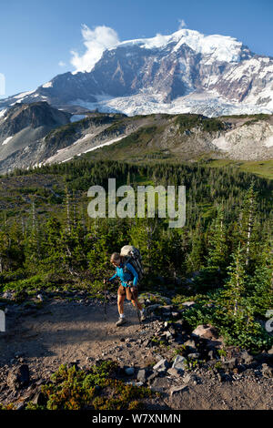 Backpacker sulla cresta di Curtis, il Parco Nazionale del Monte Rainier, Washington, USA, Agosto 2014. Foto Stock