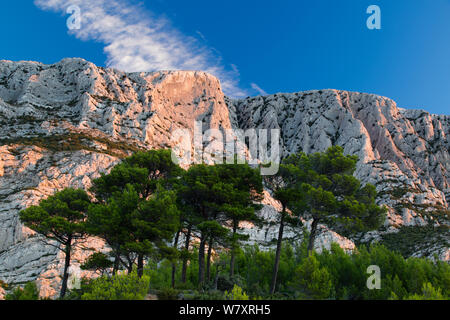 Montagne Sainte-Victoire all'alba, Var, Provenza, Francia, ottobre 2012. Foto Stock