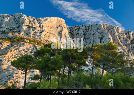 Montagne Sainte-Victoire all'alba, Var, Provenza, Francia, ottobre 2012. Foto Stock