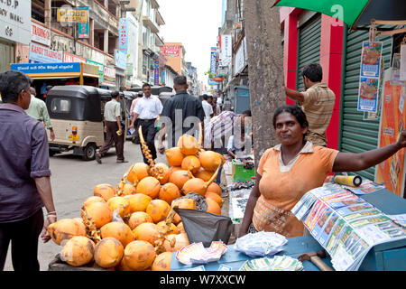 Venditore ambulante vendita di noci di cocco e di biglietti della lotteria, Petta district, Colombo, Sri Lanka, dicembre 2012. Foto Stock