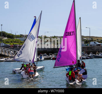 Baltimore, Irlanda, 7 agosto 2019, sotto il glorioso sole con temperature fino a 22 deg Baltimore Sailing Club è stato in possesso di uno dei suoi corsi di vela oggi per i bambini di età mista e capacità. La Topaz Class Sailing dinghy rende una grande barca di apprendimento e in questo caso oltre 70 bambini erano in corso oggi. In luglio si è tenuta la più grande mai Irish Sailing Club corso CON 120 BAMBINI. Aphperspective credito/ Alamy Live News Foto Stock