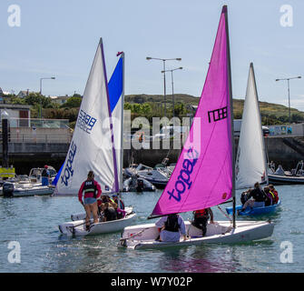 Baltimore, Irlanda, 7 agosto 2019, sotto il glorioso sole con temperature fino a 22 deg Baltimore Sailing Club è stato in possesso di uno dei suoi corsi di vela oggi per i bambini di età mista e capacità. La Topaz Class Sailing dinghy rende una grande barca di apprendimento e in questo caso oltre 70 bambini erano in corso oggi. In luglio si è tenuta la più grande mai Irish Sailing Club corso CON 120 BAMBINI. Aphperspective credito/ Alamy Live News Foto Stock