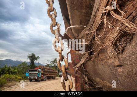 Registrato il legname della foresta pluviale su carrello, Sabah Borneo, maggio 2011. Foto Stock