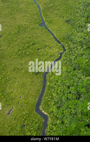 Vista aerea di blackwater palude, Yasuni National Park, la foresta pluviale amazzonica, Ecuador, Sud America Foto Stock