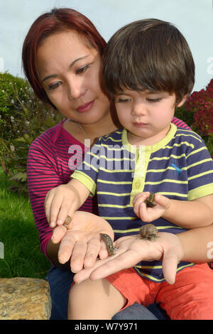 La madre e il ragazzo giovane azienda garden lumache (Helix Aspersa) e Leopard /grande grigio slugs (Limax maximus) nelle loro mani, Bristol Garden Regno Unito, ottobre 2014. Modello rilasciato. Foto Stock