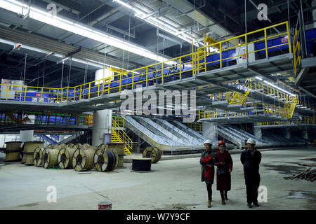 Vista del trasferimento bagagli sistema presso il terminale 3 edificio a Wuhan Tianhe International Airport nella città di Wuhan, Cina centrale della provincia di Hubei, 16 Foto Stock