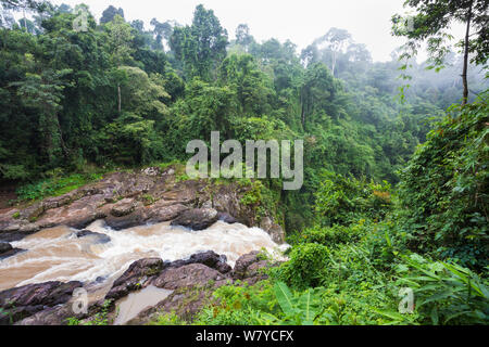 Al di sopra di Haew Narok cascata, il Parco Nazionale di Khao Yai, Dong Phayayen-Khao Yai complesso forestale, est della Thailandia, Agosto. Foto Stock