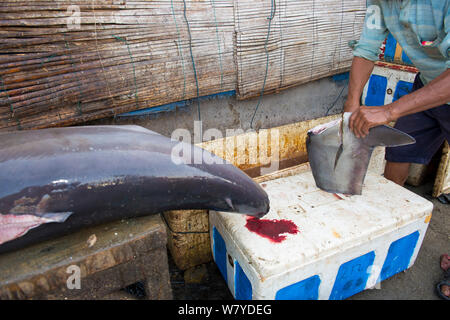 Taglio uomo squalo mako (Isurus oxyrinchus) fin nel mercato del pesce, Bali, Indonesia, Agosto 2014. Le specie vulnerabili. Foto Stock