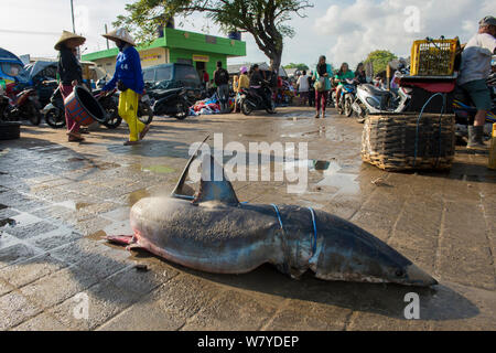 Lo squalo di grandi dimensioni per la vendita nel mercato del pesce, Bali, Indonesia, Agosto 2014. Foto Stock