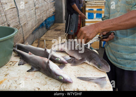 L'uomo la rimozione di pinne dorsali da squali (Squalus sp) nel mercato del pesce, Bali, Indonesia, Agosto 2014. Foto Stock