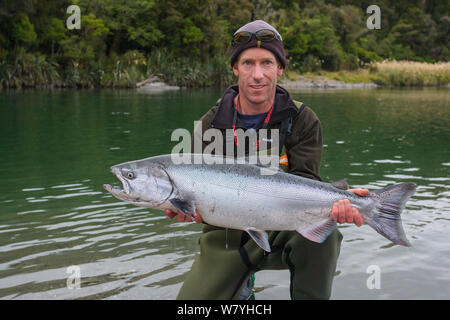 Fisherman tenere grandi Chinook / Re Salmoni (Oncorhynchus tshawytscha) Costa Ovest, Nuova Zelanda. Febbraio 2008. Modello rilasciato. Foto Stock