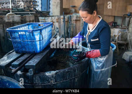 Una donna cinese Impregna i panni legato per la tintura nei secchi fino a far loro assumere la corretta indigo ombra di Dali, a sud-ovest della Cina di Yunnan provi Foto Stock