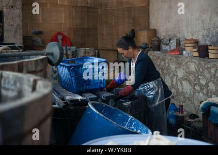 Una donna cinese Impregna i panni legato per la tintura nei secchi fino a far loro assumere la corretta indigo ombra di Dali, a sud-ovest della Cina di Yunnan provi Foto Stock