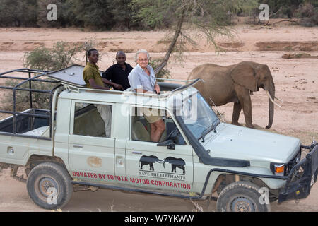 Iain-Douglas-Hamilton e il team la visione di elefante africano (Loxodonta africana) mentre fuori sulla ricerca nel Samburu National Park, il Kenya. Modello rilasciato Foto Stock