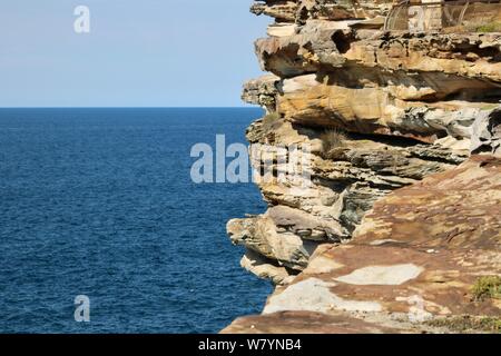 Vista mare da Watsons Bay Sydney Australia che mostra rocce grossolane a lato e l'oceano oltre Foto Stock