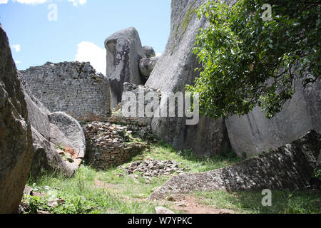 Grande Zimbabwe rovine, i ruderi della ex capitale del regno dello Zimbabwe, costruito tra 11th-15th centuary. Central Zimbabwe Gennaio 2011. Foto Stock