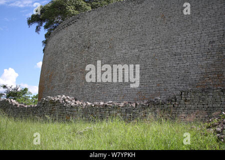 Grande Zimbabwe rovine, i ruderi della ex capitale del regno dello Zimbabwe, costruito tra 11th-15th centuary. Central Zimbabwe Gennaio 2011. Foto Stock