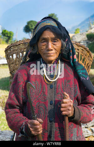 Anziano contadino carrello portante sulla sua schiena, Ghandruk, Modi Khola Valley, Himalaya, Nepal. Novembre 2014. Foto Stock