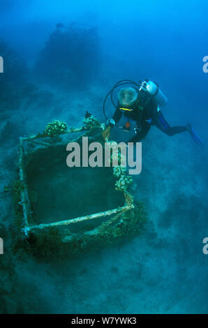 Sommozzatore esplorare 'Barnacle' reef artificiale, costruito nel 2001 con un telaio in acciaio con lievi correnti elettriche per incoraggiare la crescita di coralli. La forma è costruita come habitat per i pesci. Isola di Ihuru in Nord Male Atoll, Maldive, Oceano Indiano. Settembre 2005. Foto Stock