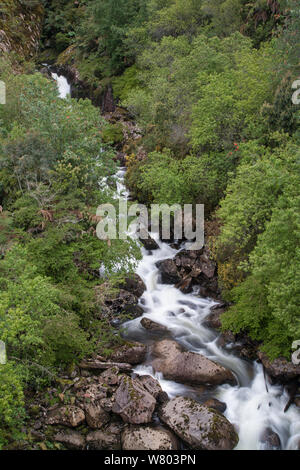 Cascata a Alerce Andino National Park, vicino a Puerto Montt, Cile. Dicembre 2012. Foto Stock