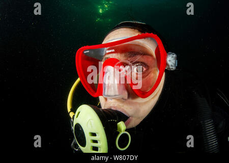 Scuba Diver la visione di acqua dolce (Medusa Craspedacusta sowerbii) lago di Lugano, Ticino, Svizzera. Agosto 2015. Specie invasive. Foto Stock