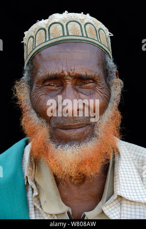 Ritratto di testa di vecchio uomo Afar, con barba tinti con henné, Ahmed Ela village, Danakil depressione, regione di Afar. Etiopia, marzo 2015. Foto Stock