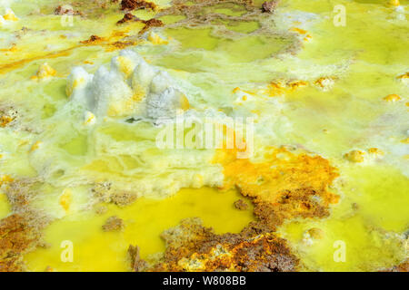 Dallol primavera calda con sale concrezioni colorate da zolfo, potassio e ferro, Dallol Vulcano, Danakil depressione, Etiopia, marzo 2015. Foto Stock