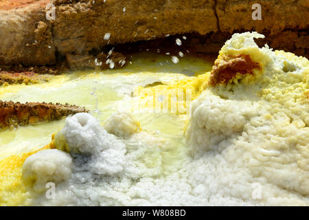 Dallol primavera calda con sale concrezioni colorate da zolfo, potassio e ferro, Dallol Vulcano, Danakil depressione, Etiopia, marzo 2015. Foto Stock