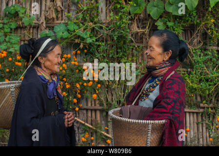 Apatani donne con tatuaggi facciali e naso tradizionali tappi / Yapin Hulo realizzato per farli sembrare poco attraente per i maschi dalle altre tribù. Queste modifiche del viso sono ora fuorilegge. Tribù Apatani, Ziro Valle, foothills dell'Himalaya, Arunachal Pradesh.nord est dell India, novembre 2014. Foto Stock
