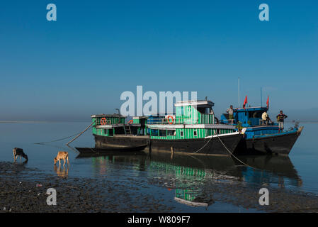 Traghetto sul fiume Brahmaputra, Assam, nord-est dell India, ottobre 2014. Foto Stock