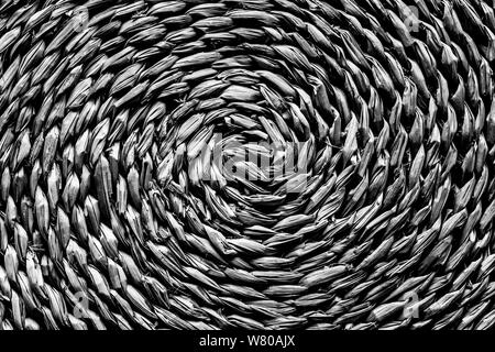 Paglia naturale tabella mat round intrecciato a spirale centrale - immagine monocromatica Foto Stock