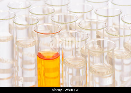 Esperimento scientifico in laboratorio chimico Foto Stock