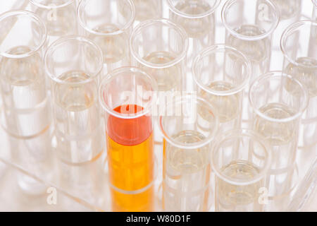 Esperimento scientifico in laboratorio chimico Foto Stock