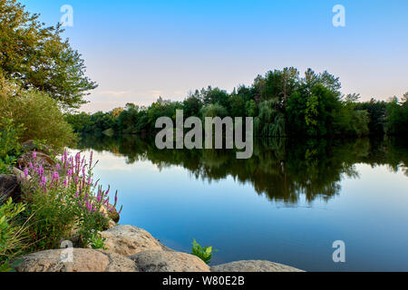 Un lago con acqua blu e il cielo, in primo piano la salvia e pietre rotonde Foto Stock