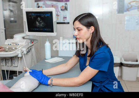 Veterinario ricerca ultrasuoni bald cat in pet clinica. Foto Stock