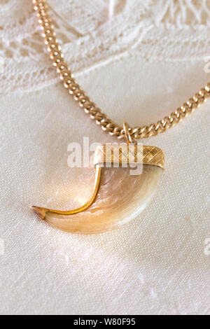 Vintage Tiger Claw su un Gold COLLANA CATENA Foto Stock