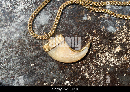 Vintage Tiger Claw su un Gold COLLANA CATENA Foto Stock