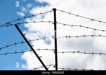 Filo spinato sul confine del paese. Barbwire sul recinto per divieto di stranieri clandestini attraversare. Foto Stock