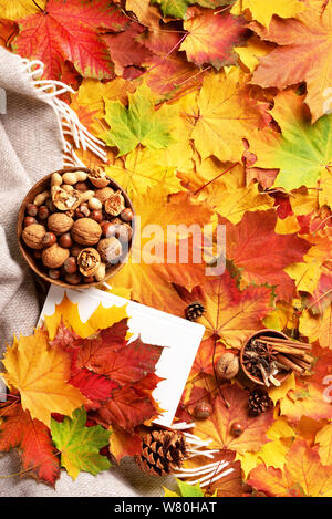 Il tempo di lettura. Autunno laici piana. Il Libro bianco, ciotola di legno di dadi, tazza di caffè, il cono, cannella sopra beige plaid e colorato Foglie di autunno sfondo. Hyg Foto Stock