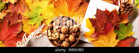 Il tempo di lettura. Autunno laici piana. Il Libro bianco, ciotola di legno di dadi, tazza di caffè, il cono, cannella sopra beige plaid e foglie colorate sullo sfondo. Hygge e Foto Stock