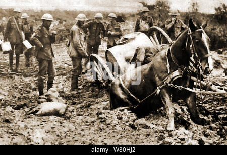 La prima guerra mondiale - i soldati britannici in considerazione che cosa fare con il cavallo e carrozza impantanati nel fango sulla parte anteriore Foto Stock
