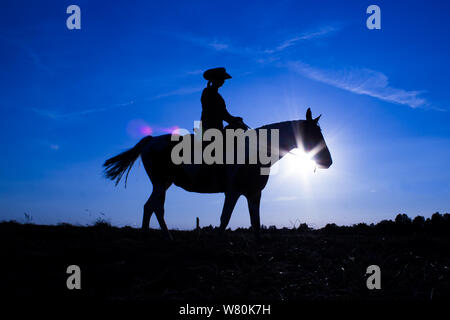 Silhouette cowgirl equitazione sulla piana aperta in western al tramonto in blu Foto Stock