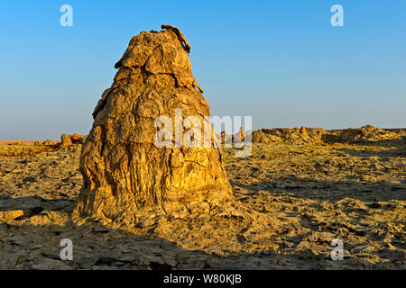 Reliquia tumuli geotermica, campo geotermico di Dallol, Danakil depressione di Afar, Triangolo, Etiopia Foto Stock