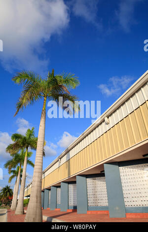 Righe di armadietti metallici o caselle postali con palme Foto Stock