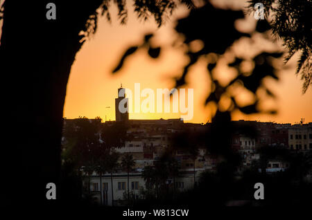 Gli alberi in primo piano sul fondo della medina di notte. Foto Stock