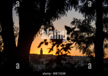 Gli alberi in primo piano sul fondo della medina di notte. Foto Stock